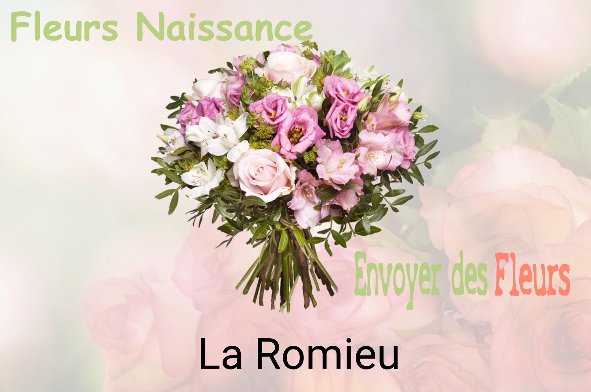 Bouquet de fleurs de naissance livré à La Romieu